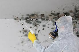 Best Biohazard Mold Removal  in North Lima, OH